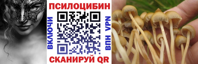 Псилоцибиновые грибы Magic Shrooms omg зеркало Ленск